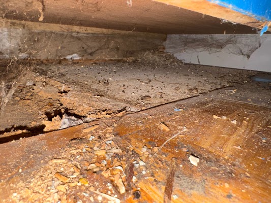 Gallery photo for Best Option Restoration of Nashville in Murfreesboro, TN