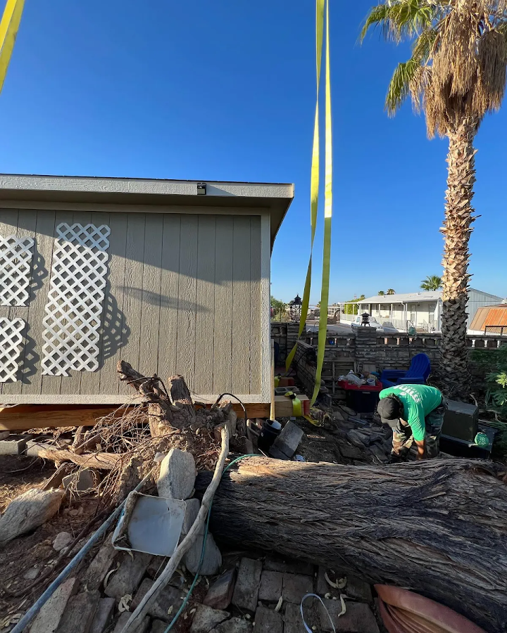 Mint Restoration and Construction photo