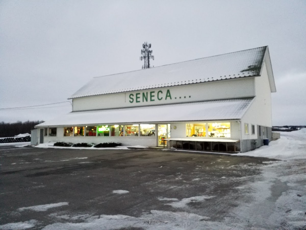 Seneca Plumbing Plumber in Vernon, NY photo