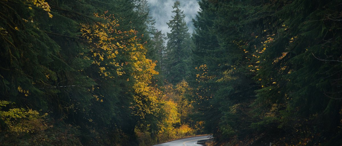 NW Woods Septic Service Septic System Service in Us-26, OR photo
