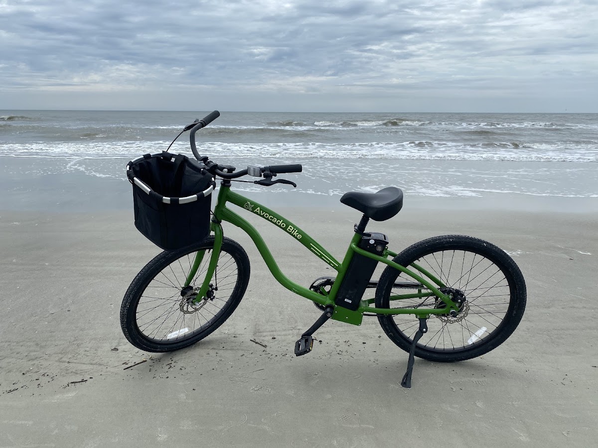 Avocado Bikes Bicycle Rental Service in Hilton Head Island, SC photo