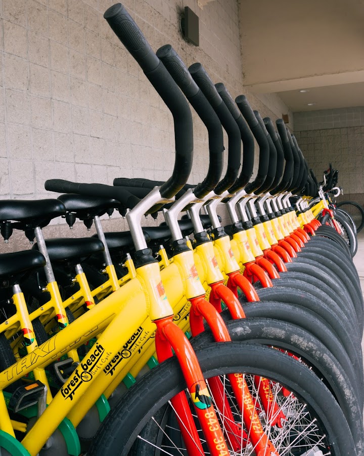 Forest Beach Surf & Cycle gallery photo
