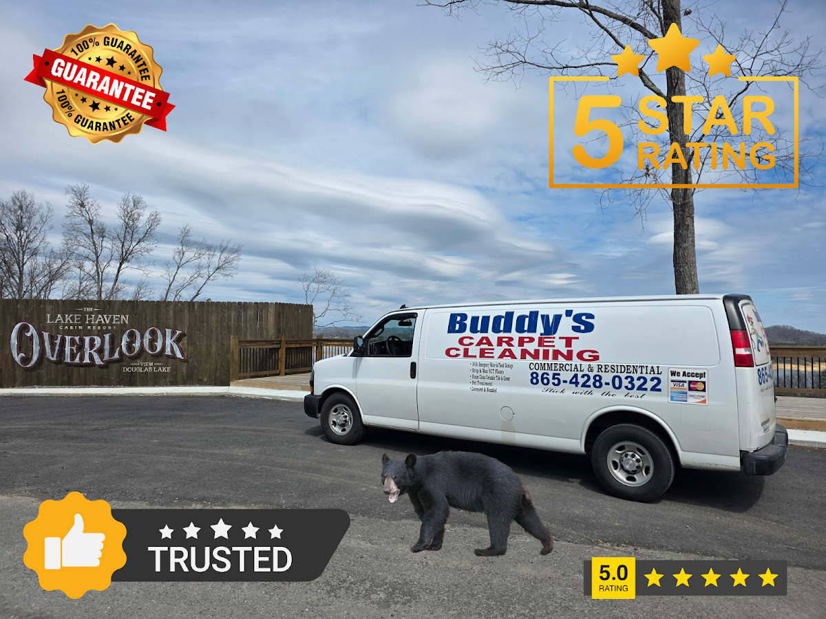 Buddy's Carpet Cleaning Carpet Cleaning Service in Sevierville, TN photo