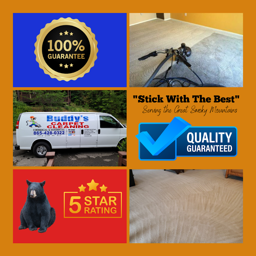 Gallery photo for Buddy's Carpet Cleaning in Sevierville, TN