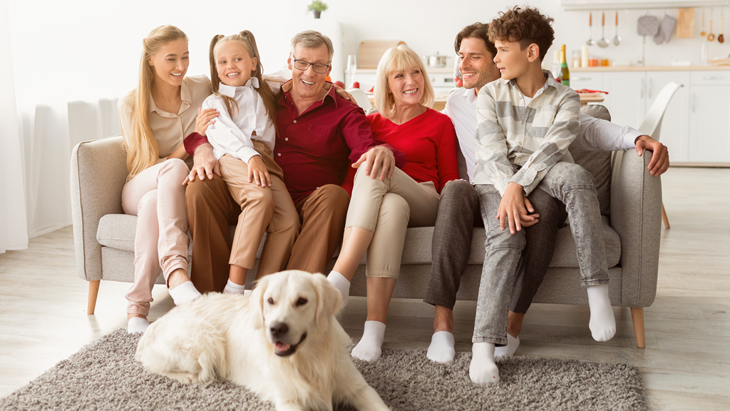 Carr's Rug Cleaning Carpet Cleaning Service in Knoxville, TN photo