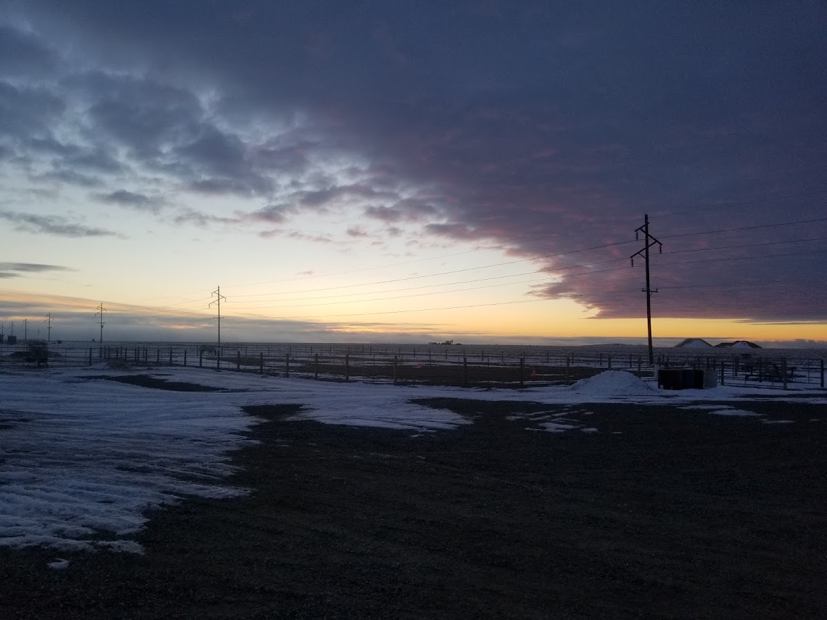 Paradise Valley Electric Inc Contractor in Riverton, WY photo