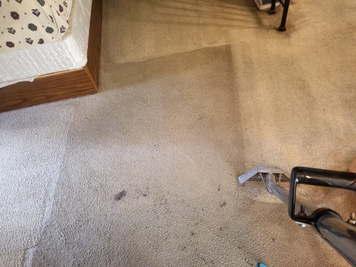 1st Choice Carpet Cleaning Carpet Cleaning Service in Spring, TX photo