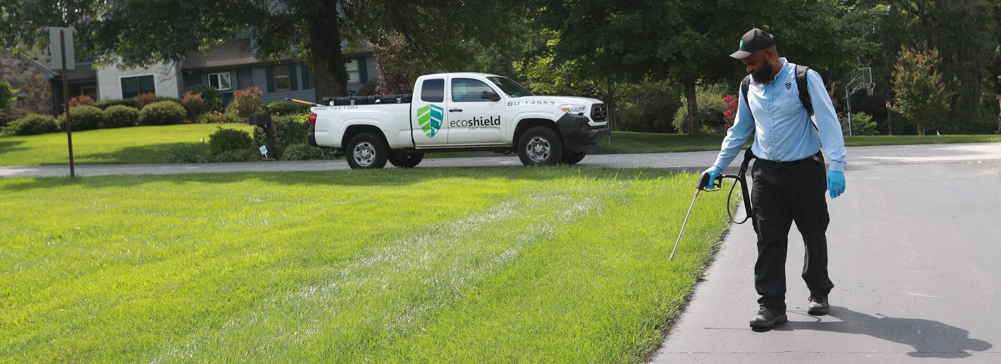 EcoShield Pest Solutions gallery photo