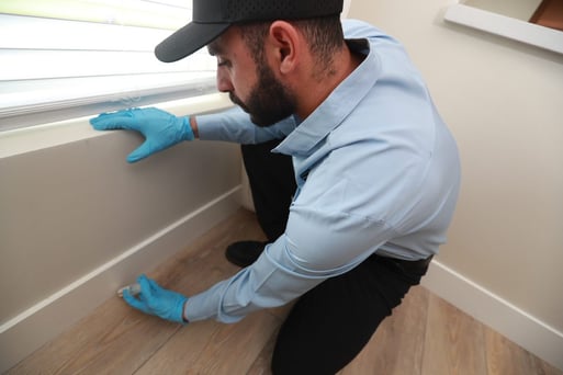 EcoShield Pest Solutions gallery photo