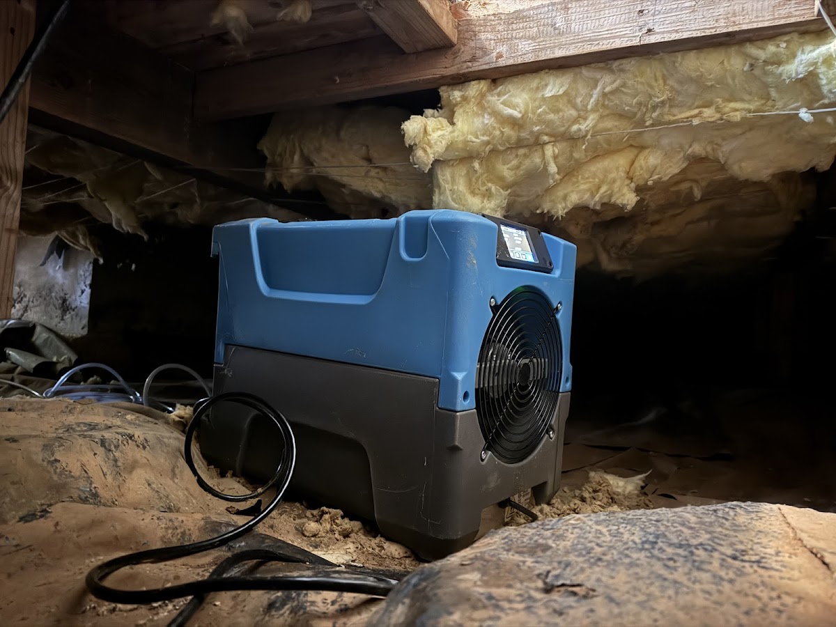 White Glove Water Damage Restoration Water Damage Restoration Service in Orlando, FL photo