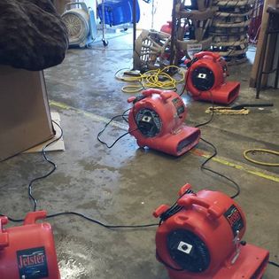 Philip White Painting LLC Water Damage Restoration Service in Orlando, FL photo