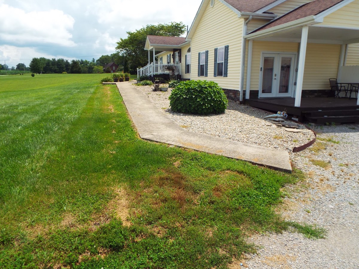 Tates Creek Paving, LLC. Paving Contractor in Lexington, KY photo