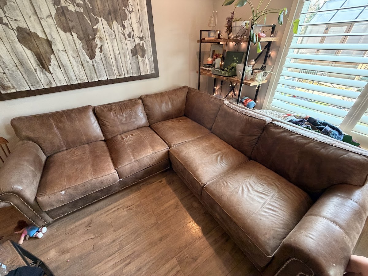 Vinyl & Leather Renew Leather Repair Service in Portland, OR photo