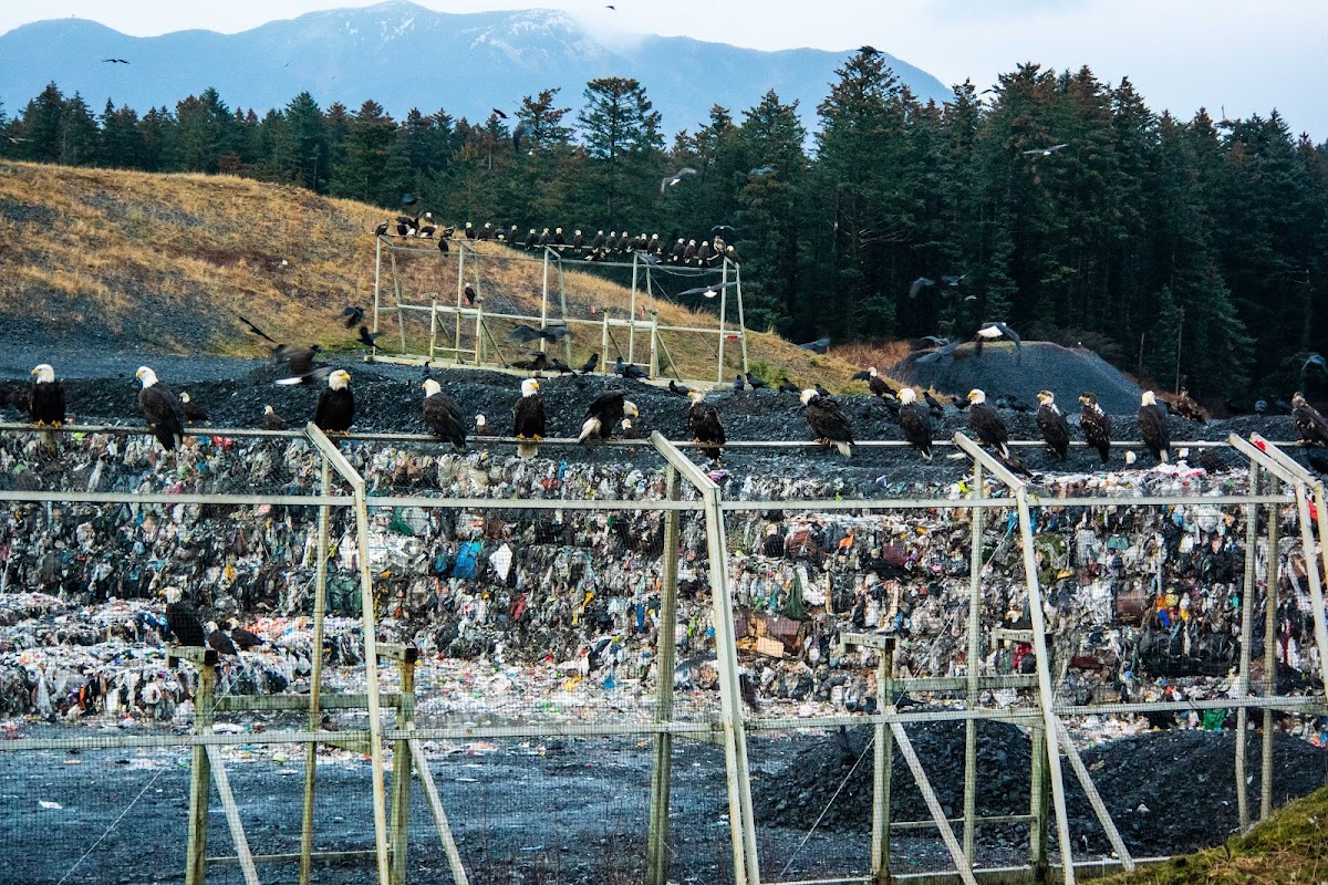 Kodiak Island Borough Landfill Garbage Dump in Kodiak, AK photo