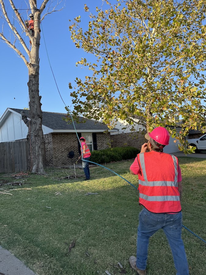 Clay's Services, Inc. Construction Company in Lawton, OK photo
