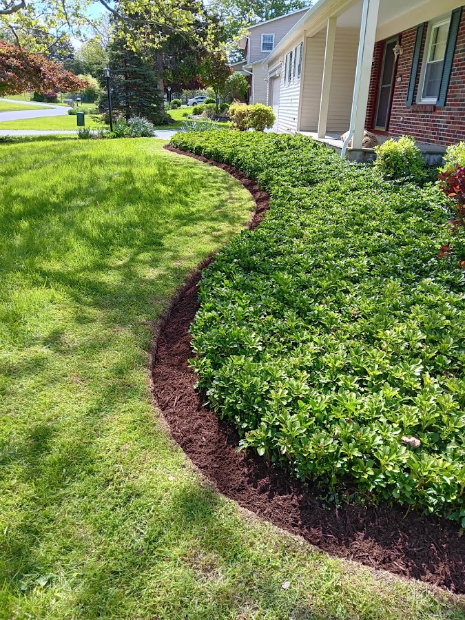 Francisco's Landscaping Landscaper in Syracuse, NY photo