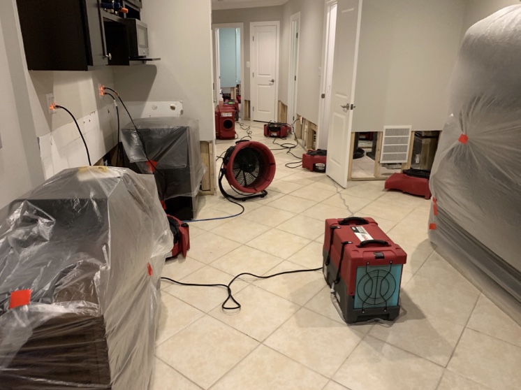 PuroClean of Alexandria Water Damage Restoration Service in Alexandria, VA photo