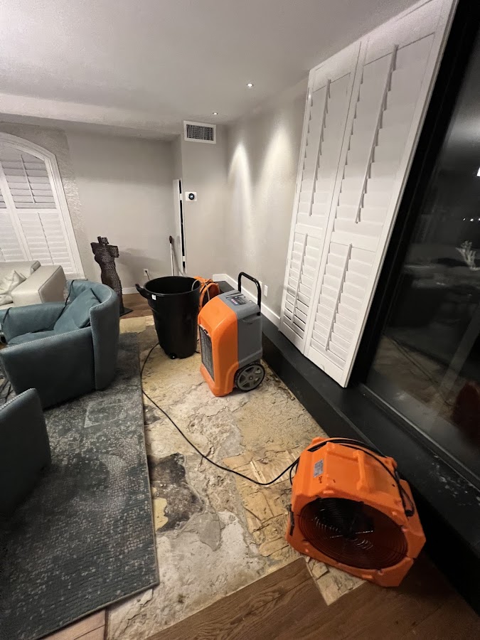 Water Damage DMV