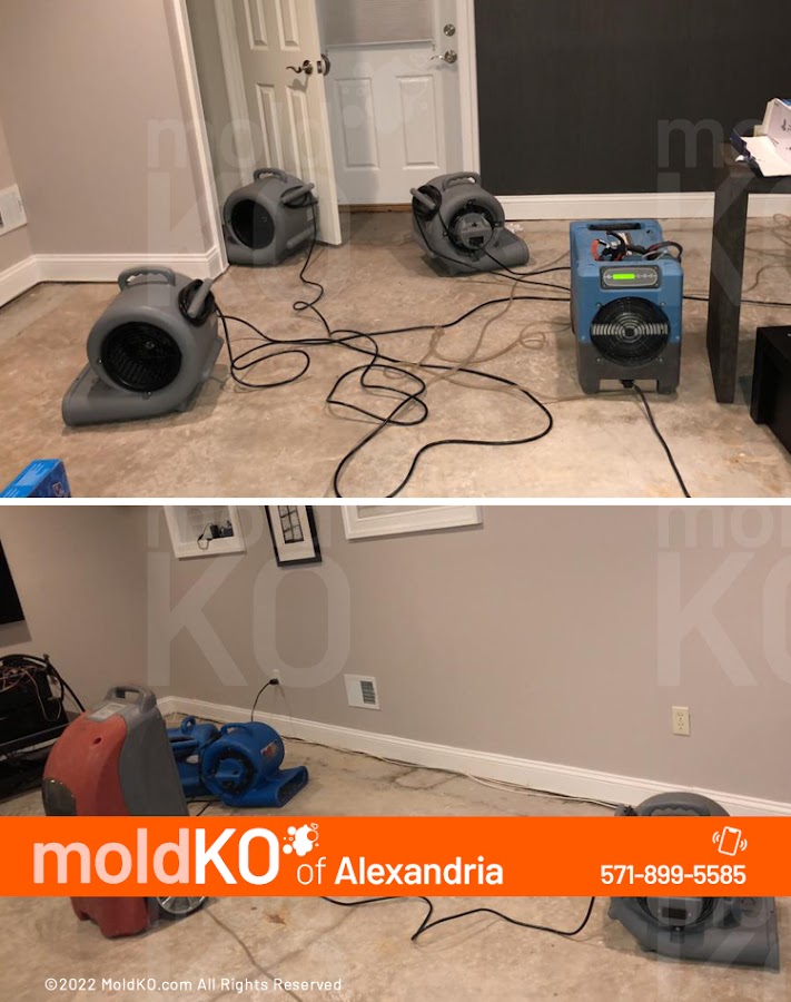 Mold KO of Alexandria Water Damage Restoration Service in Alexandria, VA photo
