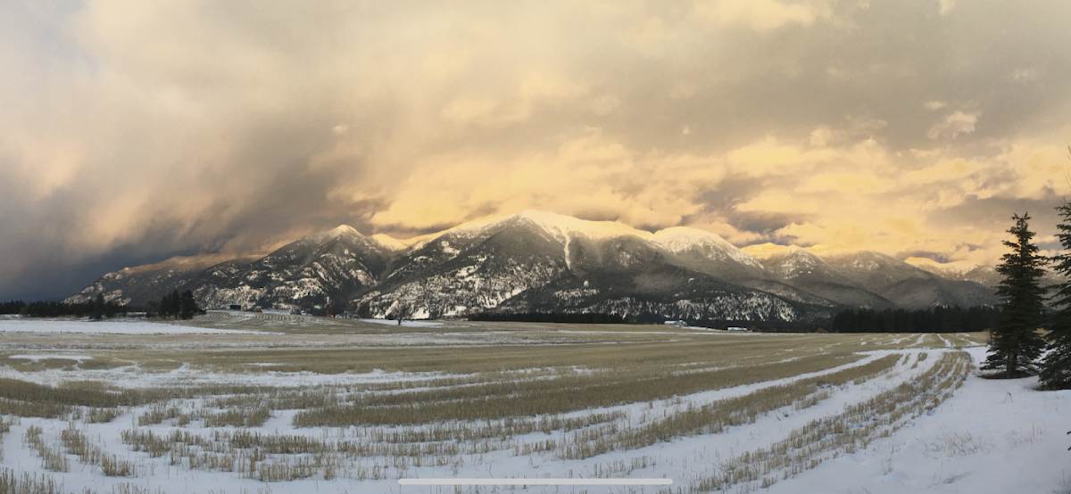 Alsup Industries Construction Company in Kalispell, MT photo