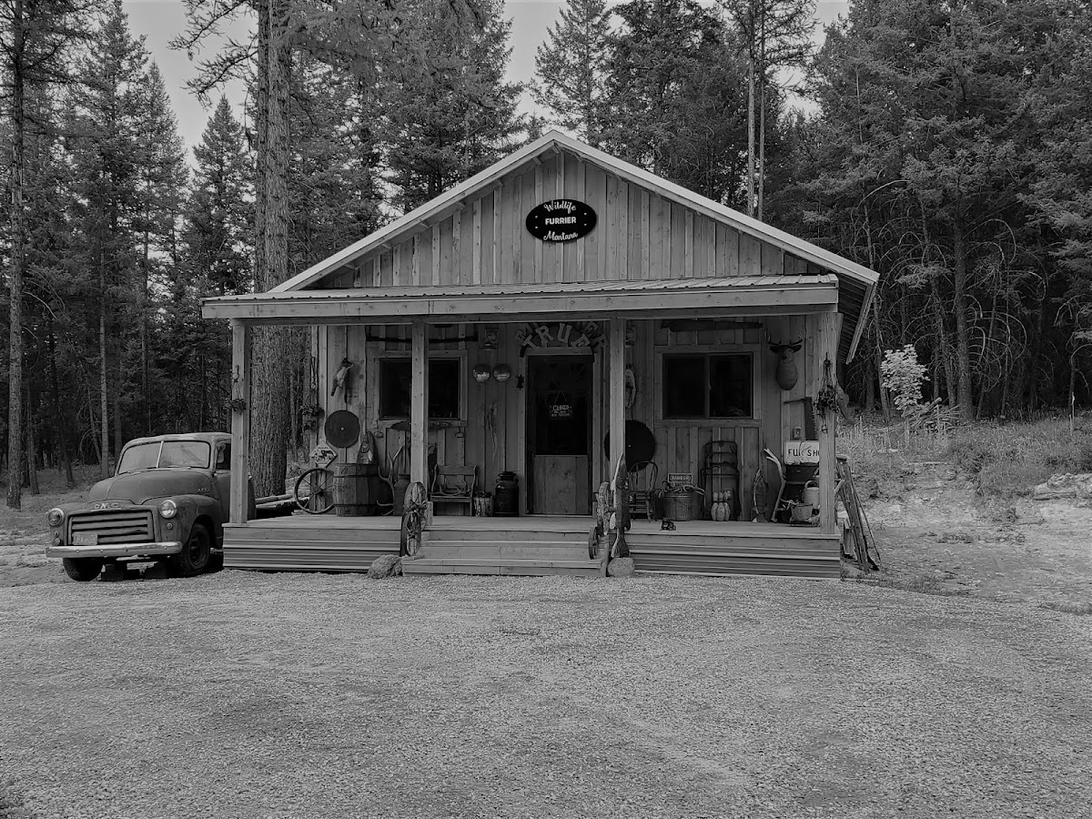 Cage Construction Construction Company in Kalispell, MT photo
