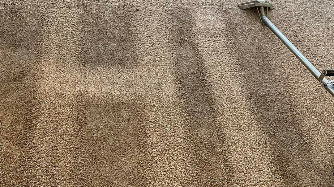 Fremont Carpet & Tile cleaning Carpet Cleaning Service in Fremont, NE photo