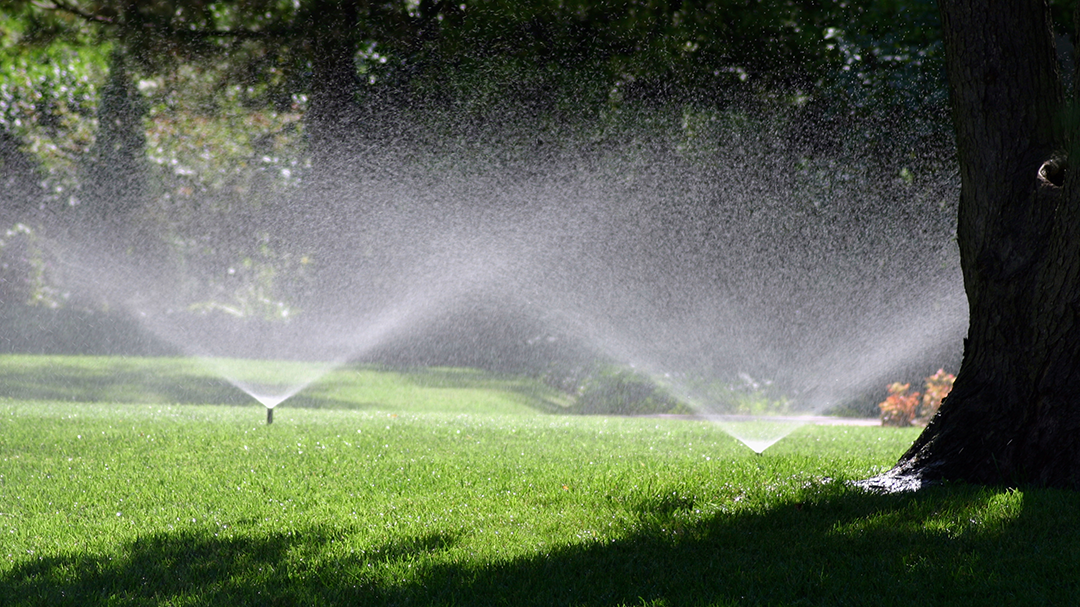 Jersey Shore Lawn Sprinkler Lawn Sprinkler System Contractor in Toms River, NJ photo