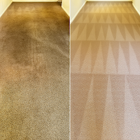 Eco Carpet Pro gallery photo