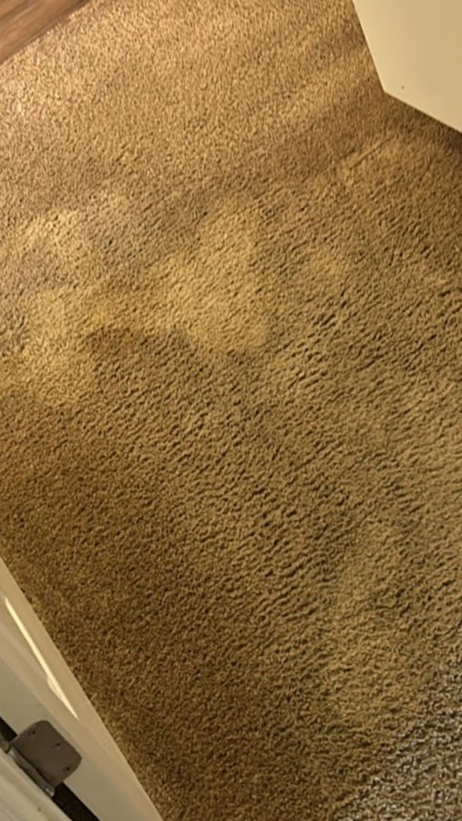 Xstream Clean Carpet Care Carpet Cleaning Service in Virginia Beach, VA photo