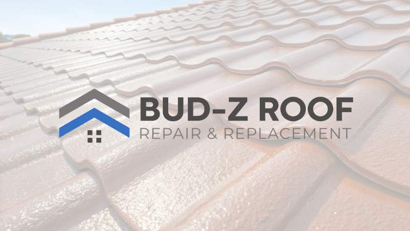 Bud-Z Roof Repair & Replacement Roofing Contractor in Munster, IN photo