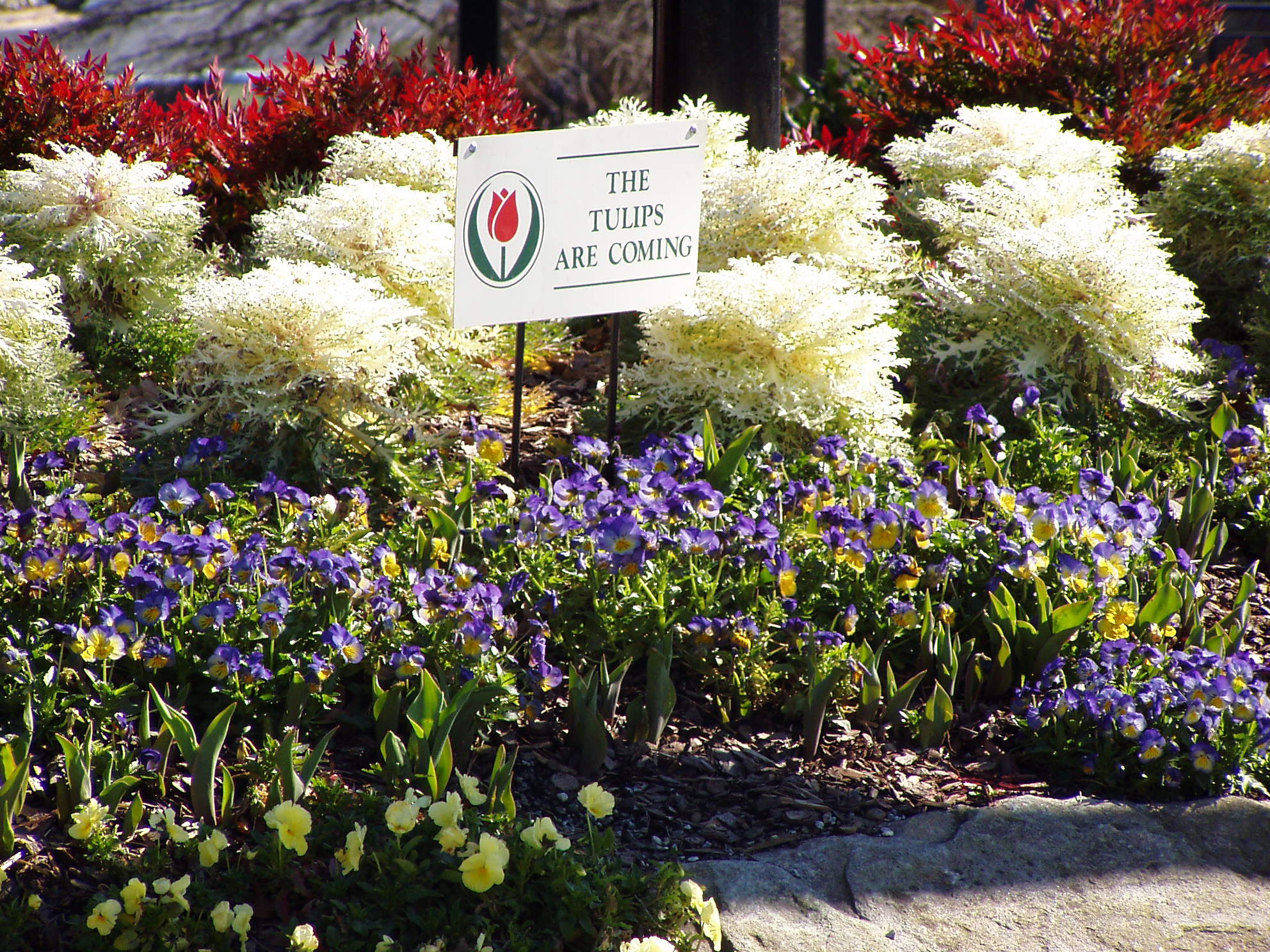 Lakewood Landscape Group Landscaper in Dothan, AL photo