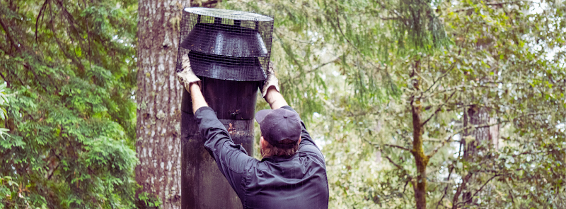 Barry's Chimney Repair Chimney Sweep in Washington, DC photo