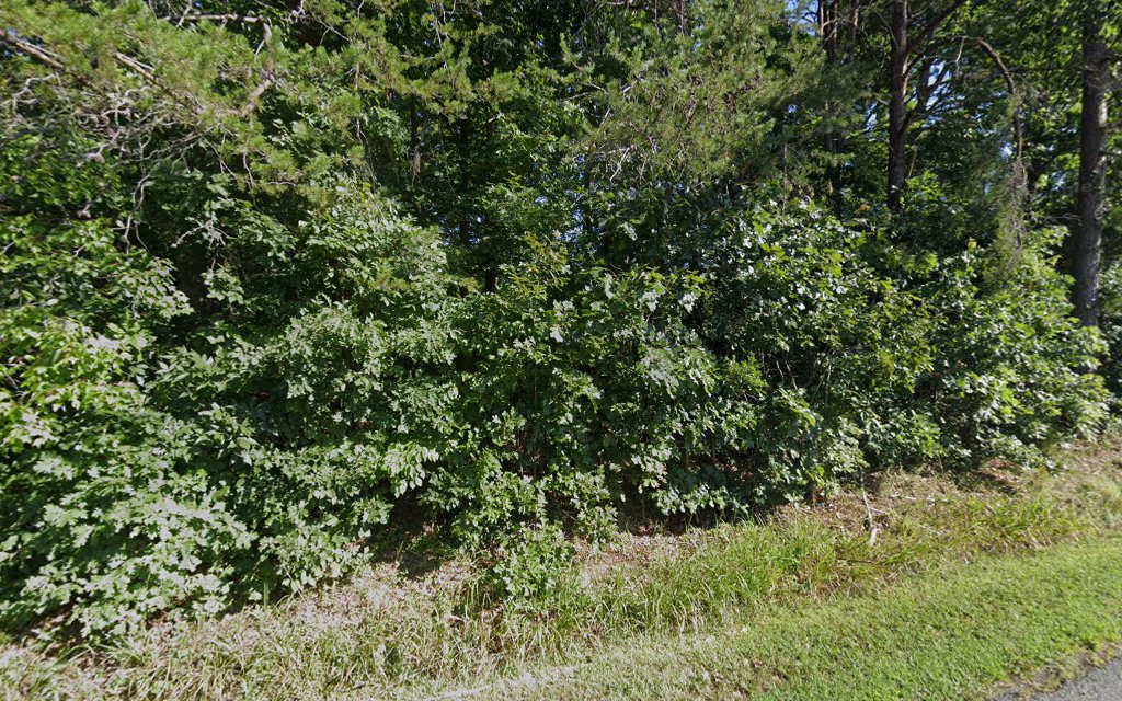 Gallery photo for DeMers in Palmyra, VA