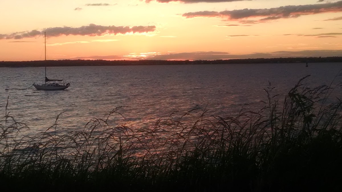 daSilva Landscaping & Construction LLC Landscaper in Fall River, MA photo