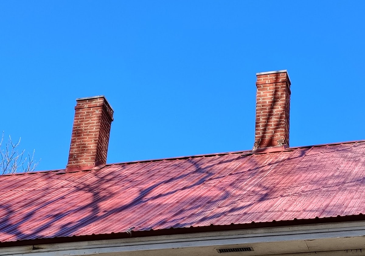 Maine Chimney Repairs Chimney Services in Lyman, ME photo