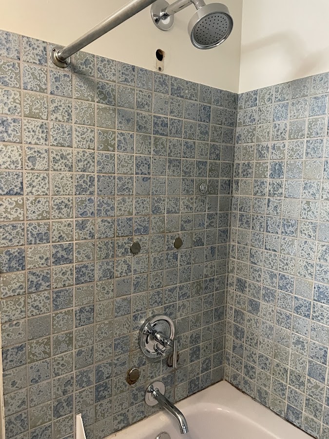 Vortex Plumbing Plumber in Unit 1609-I, WA photo