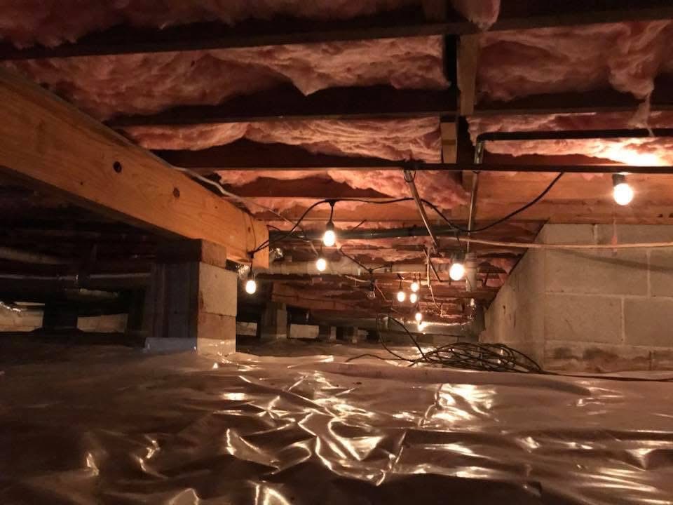Geo-Insulation & Nuisance Wildlife Removal Services, LLC Insulation Contractor in Hueytown, AL photo
