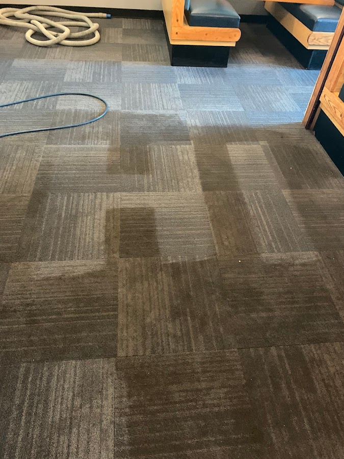 Cleaner Living photo