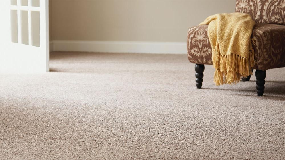 Yellow Finch Carpet Cleaning LLC photo
