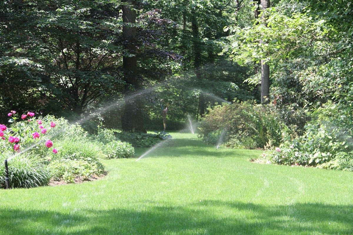Automatic Irrigation Design Lawn Sprinkler System Contractor in Hempstead, NY photo