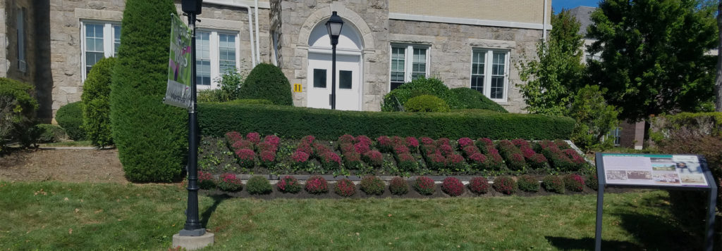 Anthony Bulfamante & Son Inc Landscaper in New Rochelle, NY photo