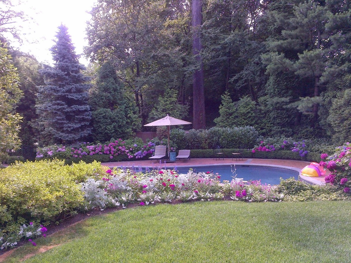 Lucente Landscaping Landscaper in New Rochelle, NY photo