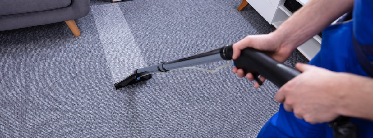 Go Green Carpet Cleaning Carpet Cleaning Service in Marshfield, MA photo