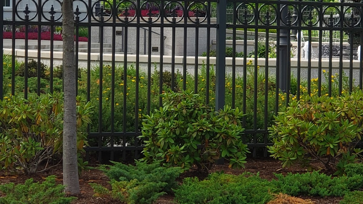 Discount Fence of Connecticut, LLC Fence Contractor in Milford, CT photo