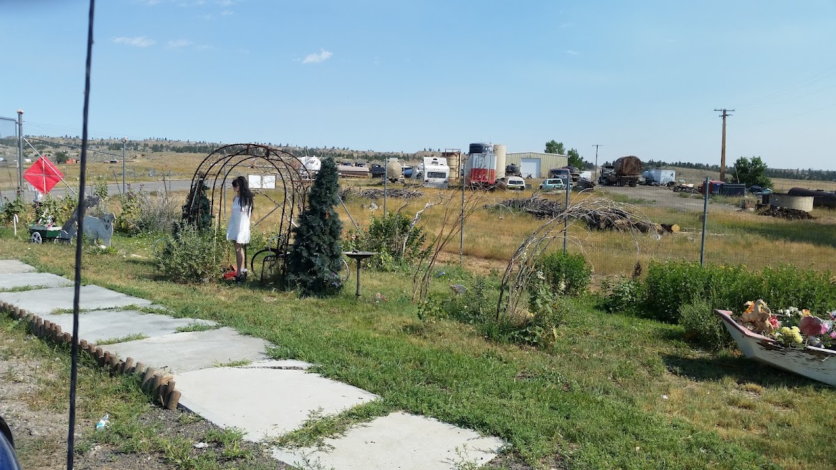 Transfer Site/Garbage Dump Waste Management Service in Roundup, MT photo
