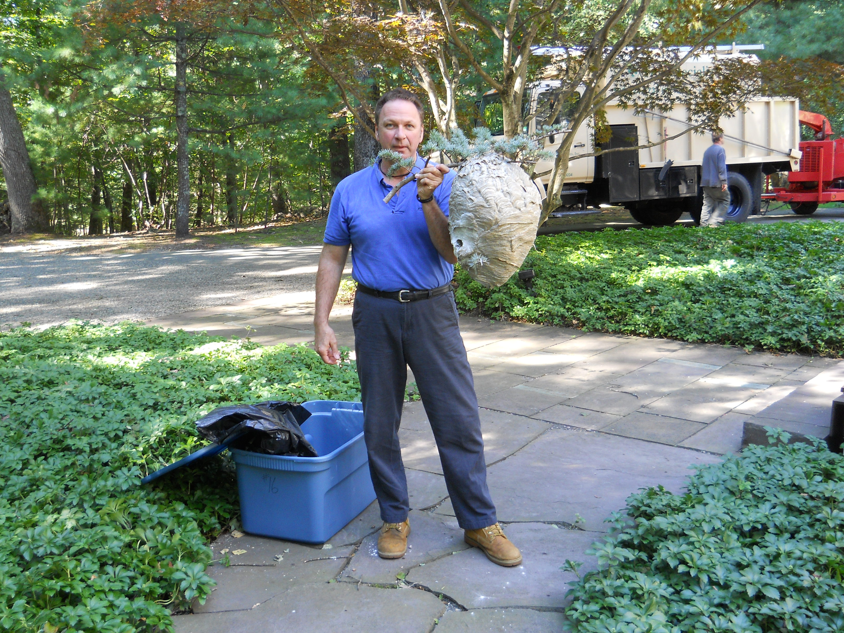 Mantis Pest Control LLC gallery photo