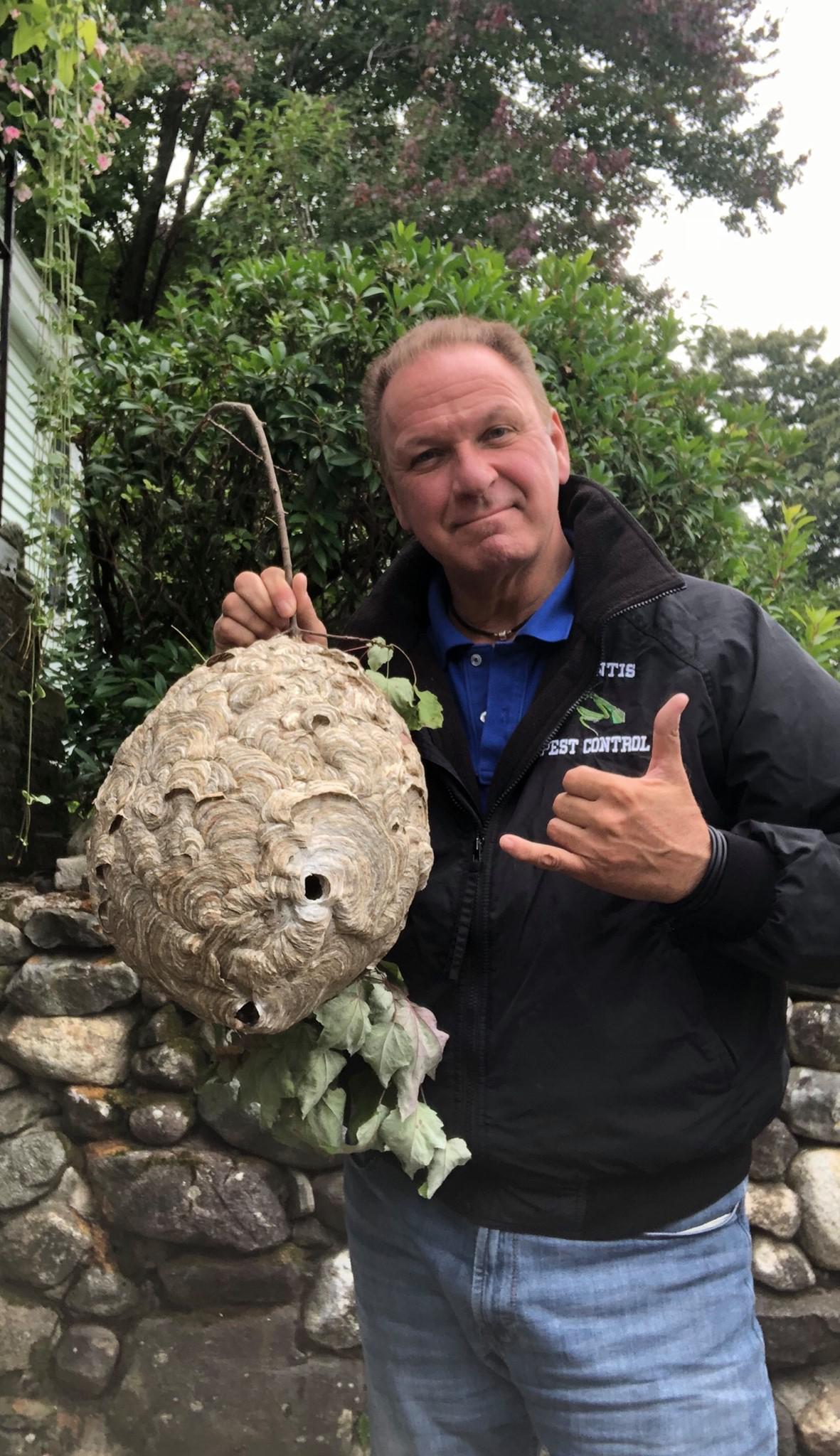 Mantis Pest Control LLC gallery photo
