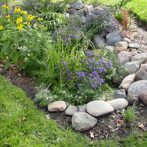 Ciminelli's Landscape Services, Inc. photo