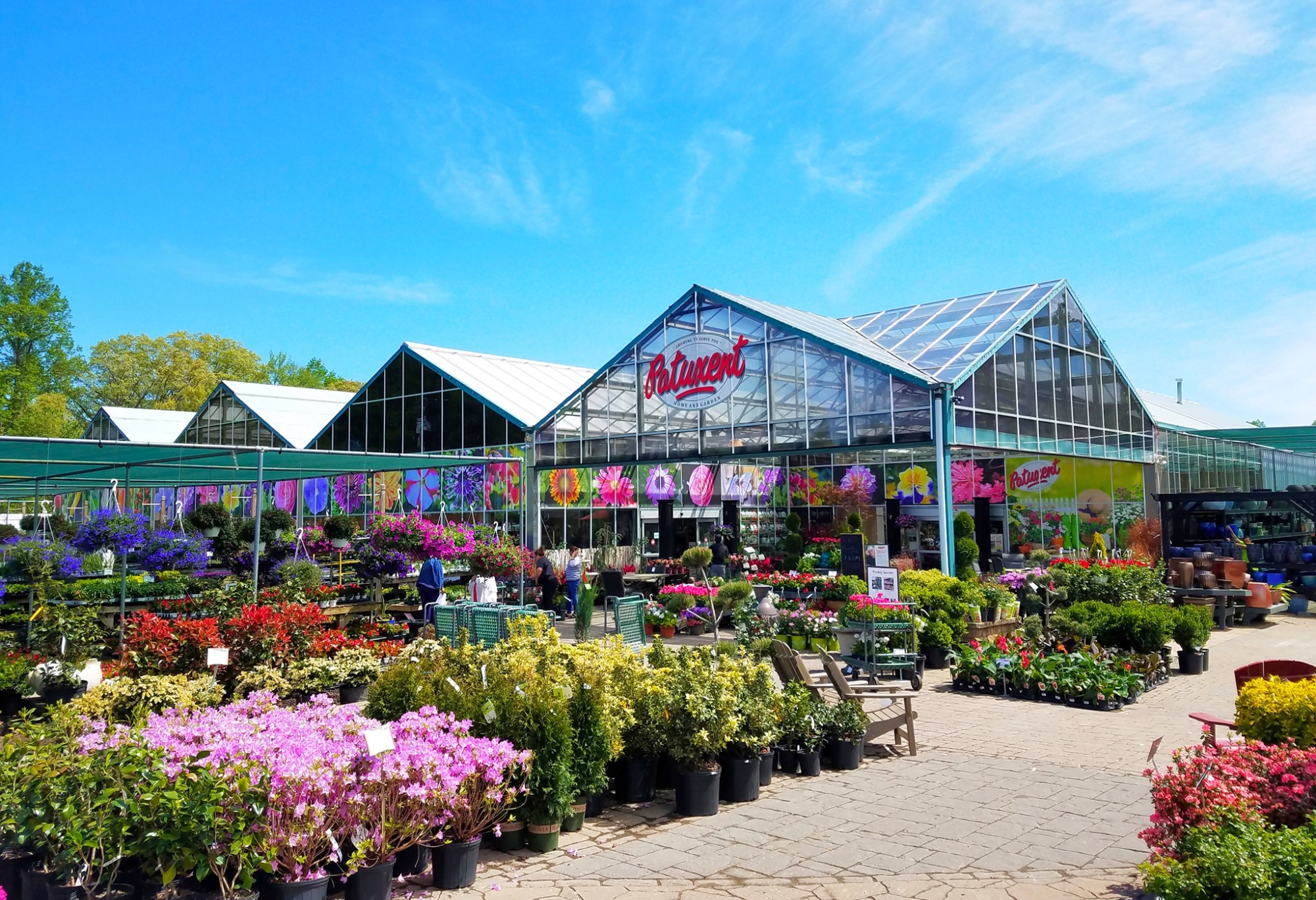 Patuxent Nursery gallery photo
