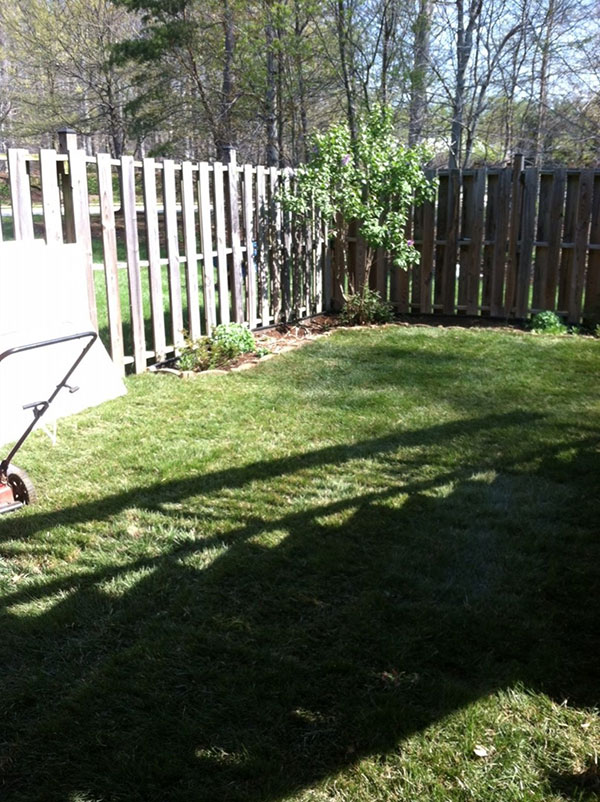 Edward's Lawn & Landscaping gallery photo